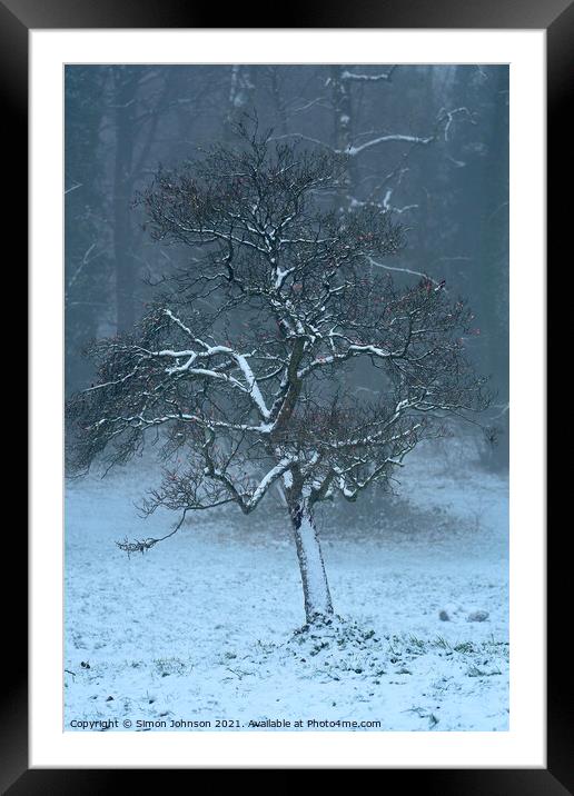 frosted tree Framed Mounted Print by Simon Johnson