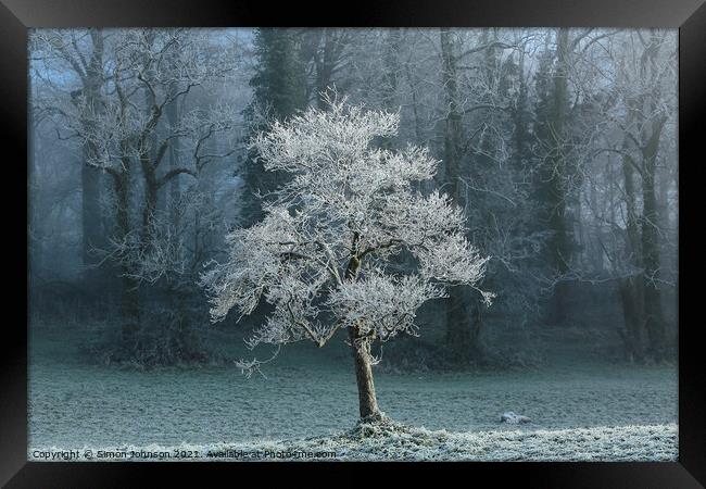 Sunlit tree with winter hoar frost  Framed Print by Simon Johnson