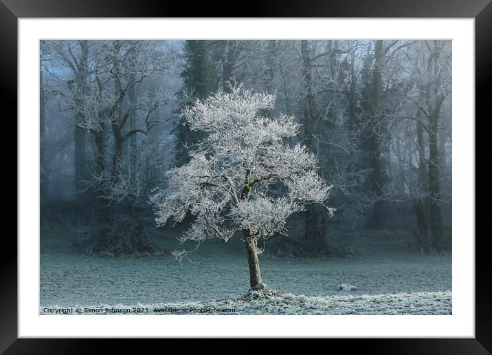 Sunlit tree with winter hoar frost  Framed Mounted Print by Simon Johnson
