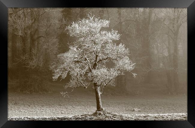 Winter tree Hoar frost Framed Print by Simon Johnson