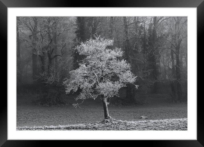 frosted tree Framed Mounted Print by Simon Johnson