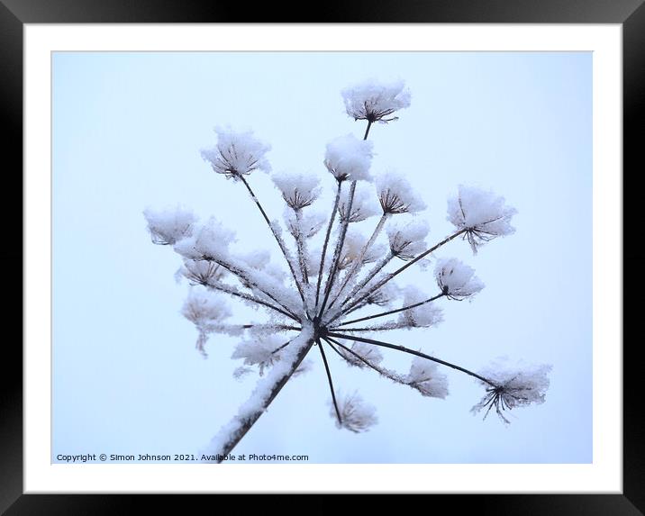 Frosted grass Framed Mounted Print by Simon Johnson