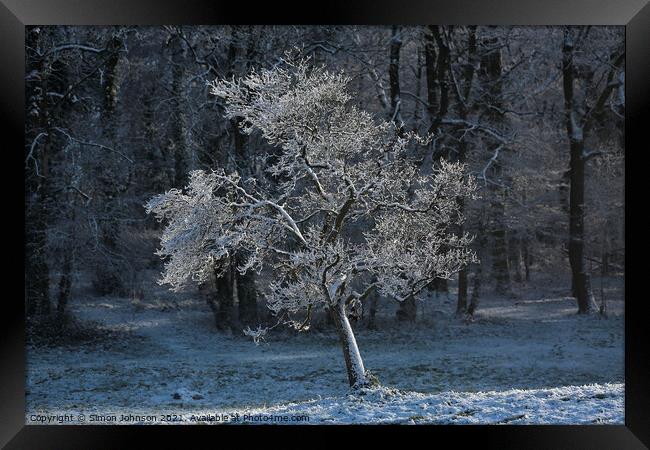 Sunlit hoar frost Framed Print by Simon Johnson