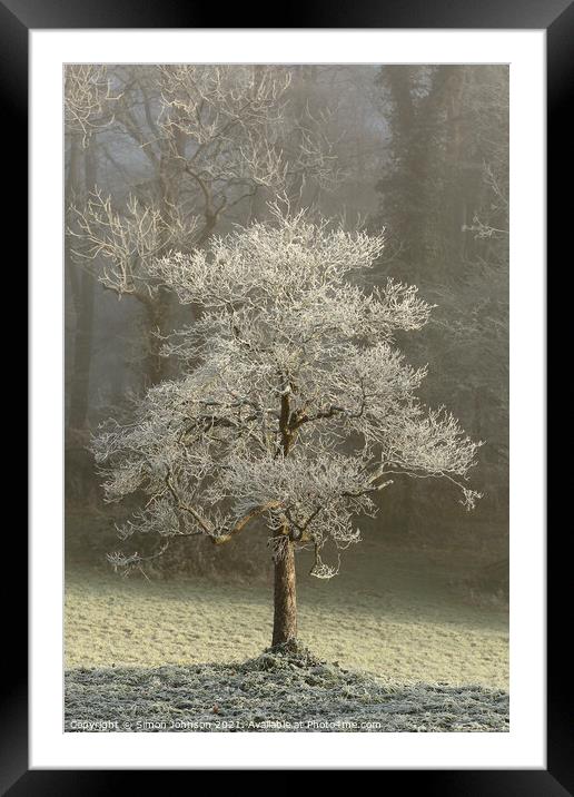 Hoar frost Broadway Woods  Framed Mounted Print by Simon Johnson
