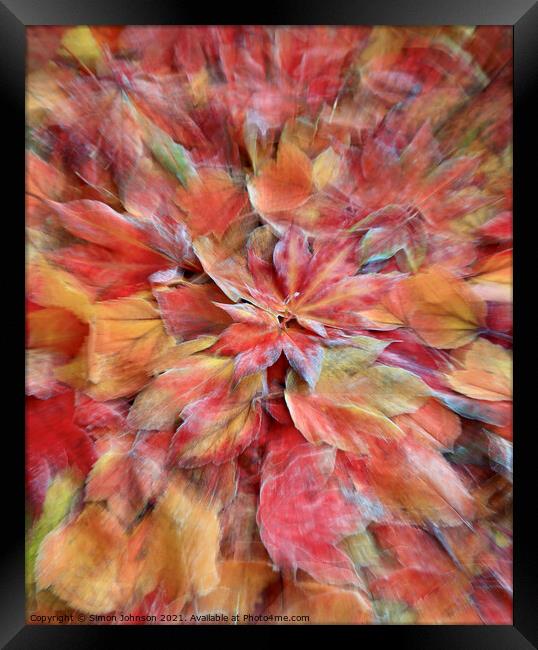 autumn collage frosted Framed Print by Simon Johnson