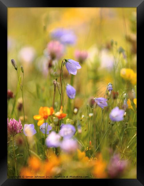 meadow flowers Framed Print by Simon Johnson