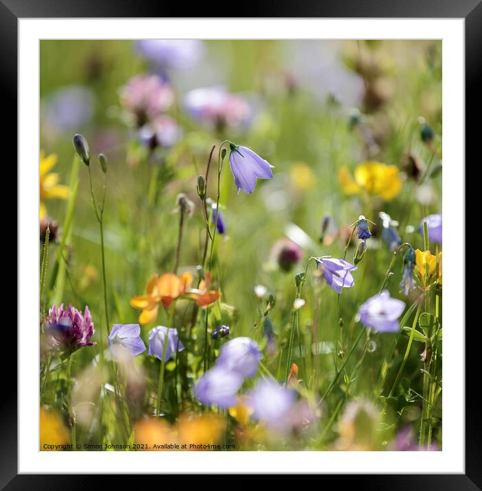 meadow  flowers Framed Mounted Print by Simon Johnson