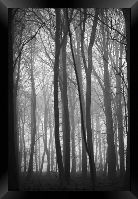 woodland symmetry Framed Print by Simon Johnson