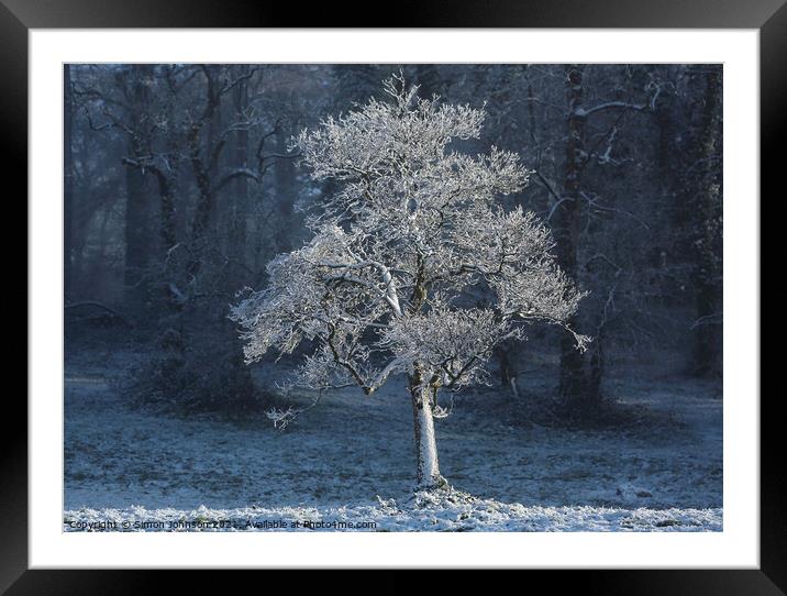 Frosted  tree with snow on the ground Framed Mounted Print by Simon Johnson