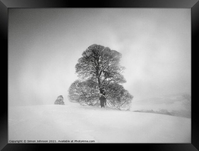 Winter trees and mist Framed Print by Simon Johnson