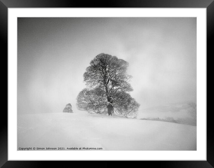 Winter trees and mist Framed Mounted Print by Simon Johnson