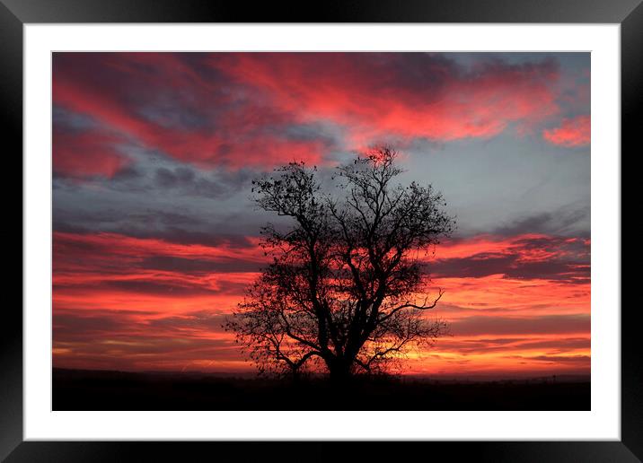 sunrise sky Framed Mounted Print by Simon Johnson