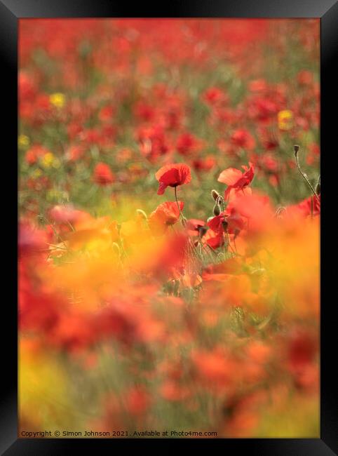 Diffused poppies Framed Print by Simon Johnson