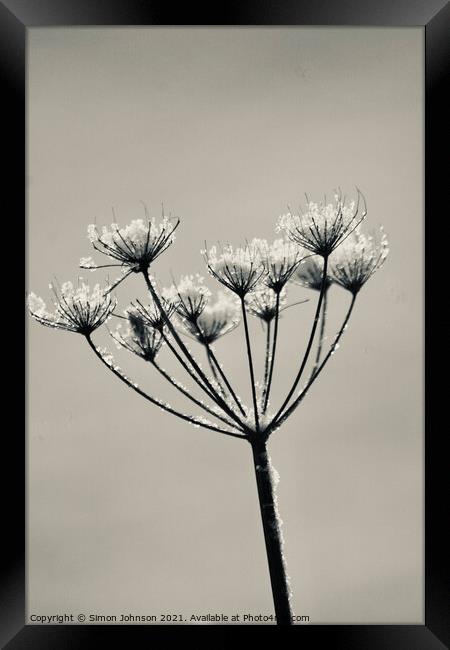 Frozen Grass Framed Print by Simon Johnson