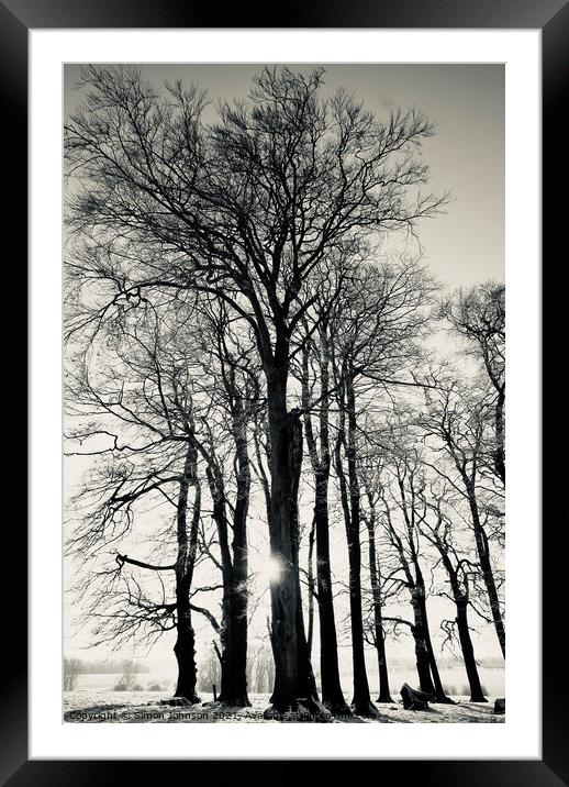winter trees Framed Mounted Print by Simon Johnson