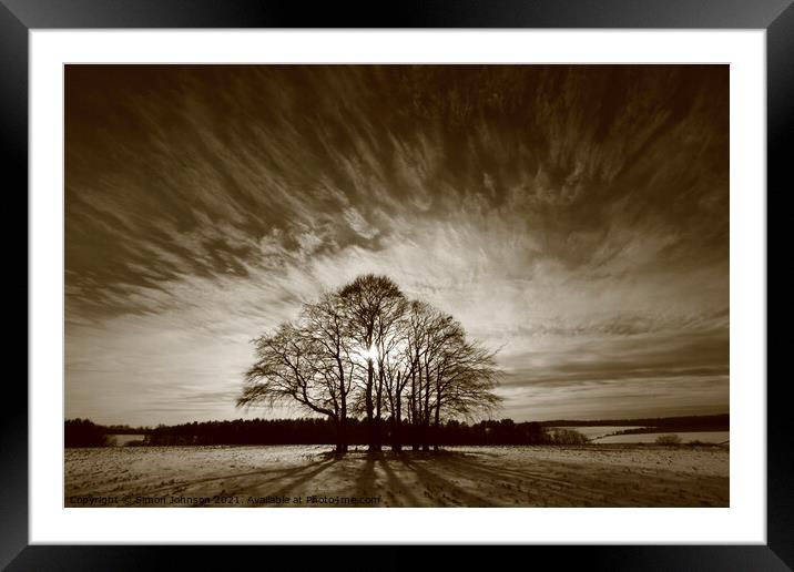 Trees and sky Framed Mounted Print by Simon Johnson