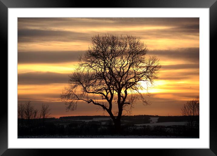 Tree silhouette sunset Framed Mounted Print by Simon Johnson