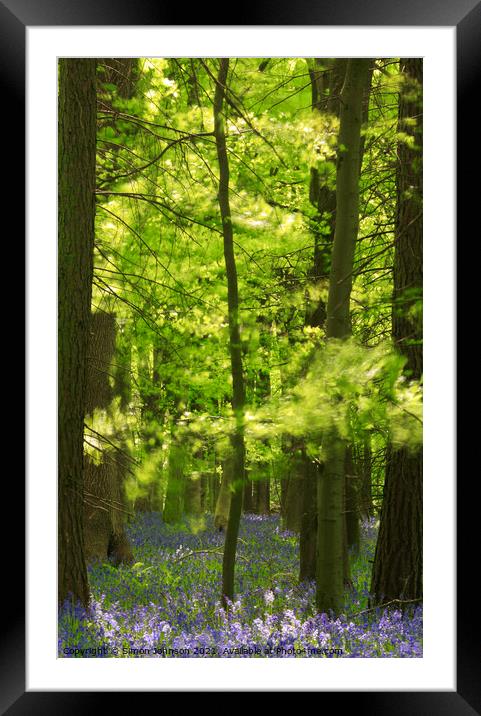 bluebell wood Framed Mounted Print by Simon Johnson