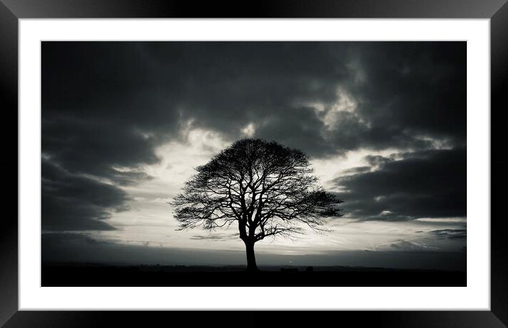 Tree sunrise Framed Mounted Print by Simon Johnson