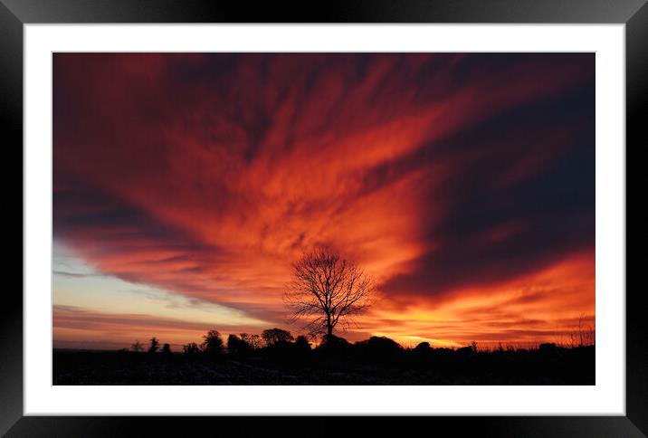 tree Silhouette at sunrise Framed Mounted Print by Simon Johnson
