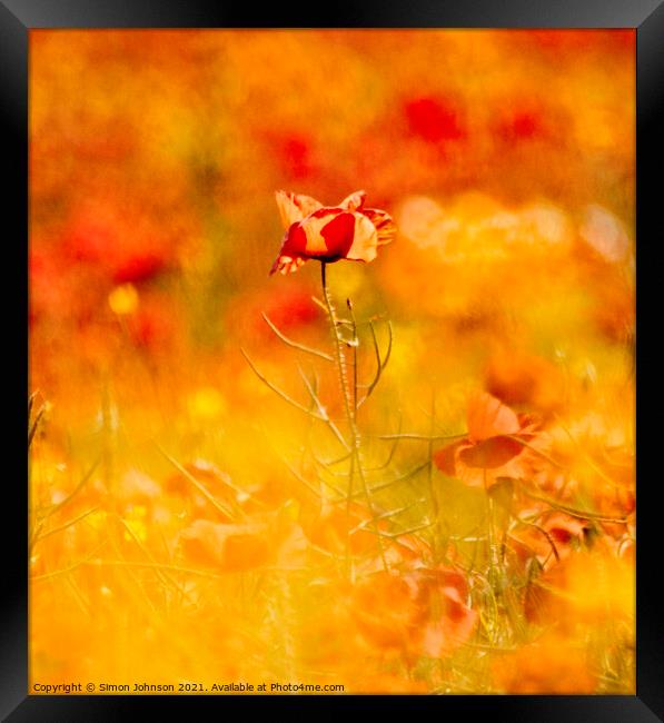 creatrive impressionist image of poppy Framed Print by Simon Johnson