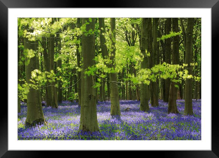 Sunlit bluebell Woodland Framed Mounted Print by Simon Johnson