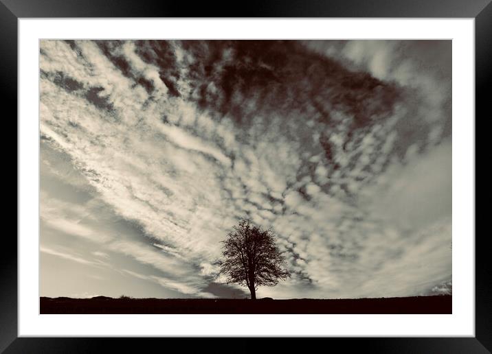 tree and clouds Framed Mounted Print by Simon Johnson