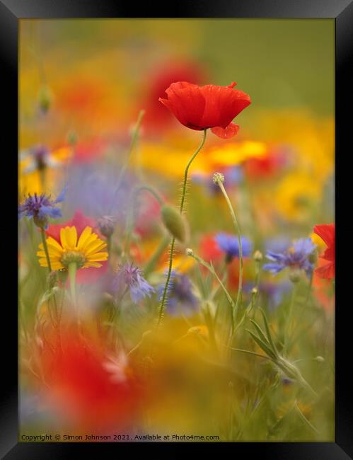 Poppy and meadow flowers Framed Print by Simon Johnson