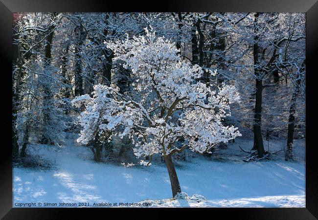 Snow clad tree  Framed Print by Simon Johnson