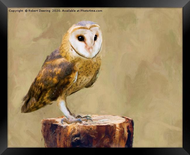 Barn owl on tree stump Framed Print by Robert Deering