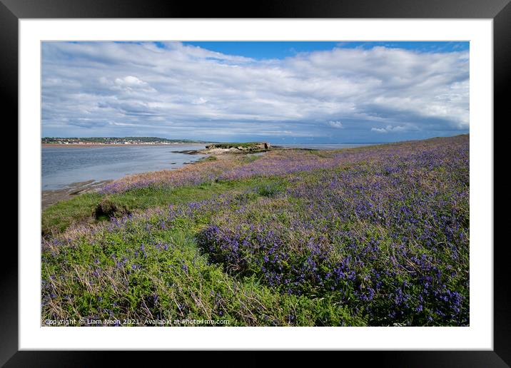 Hilbre Bluebells Framed Mounted Print by Liam Neon