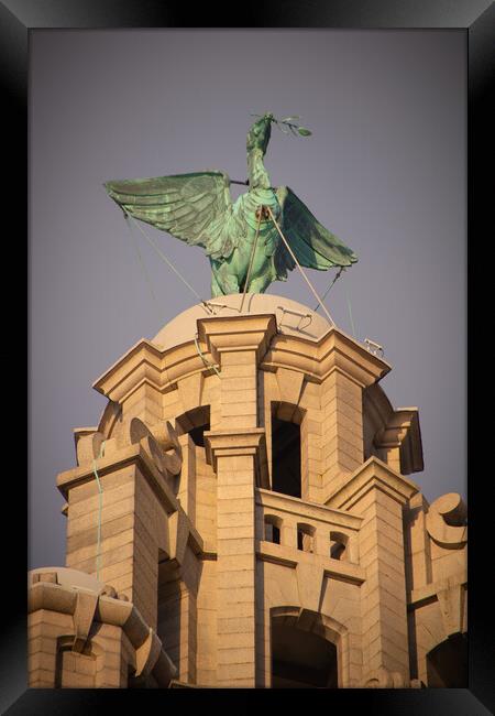 Golden hour Liver bird, Liverpool Waterfront Framed Print by Liam Neon