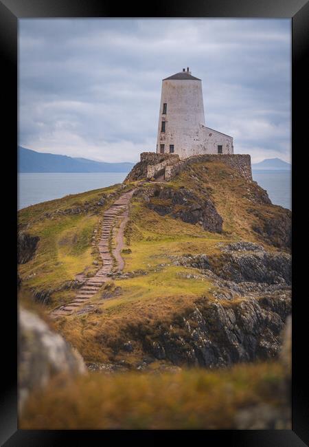 Tŵr Mawr Lighthouse in Winter Framed Print by Liam Neon