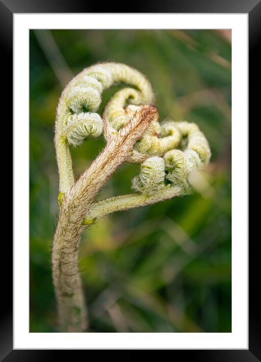 You're Bracken My Heart Framed Mounted Print by Liam Neon