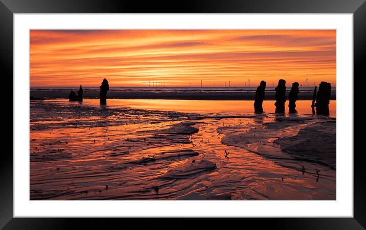 Golden Sands Framed Mounted Print by Liam Neon