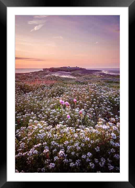 Hilbre Floral Twilight Framed Mounted Print by Liam Neon