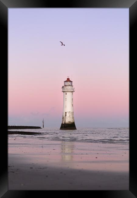 Pastel Lighthouse at New Brighton Framed Print by Liam Neon