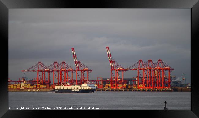 Red Cranes at the Port of Liverpool Framed Print by Liam Neon