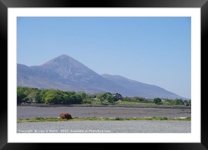 Croagh Patrick from Westport Quay Framed Mounted Print by Liam Neon