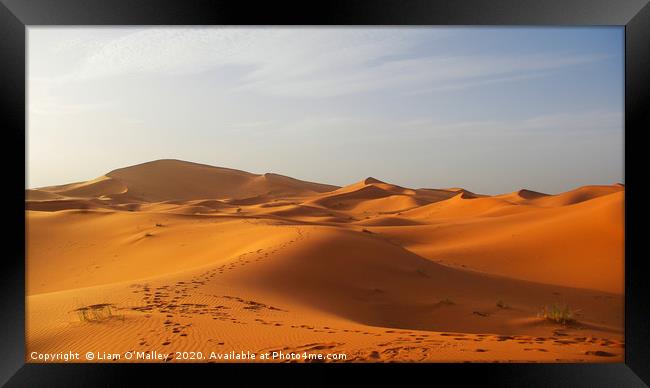 Red Saraha Sands Framed Print by Liam Neon