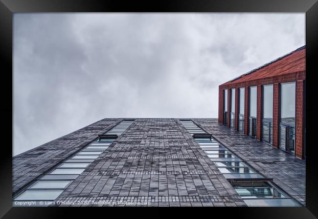 Looking Up The Cargo Building Framed Print by Liam Neon