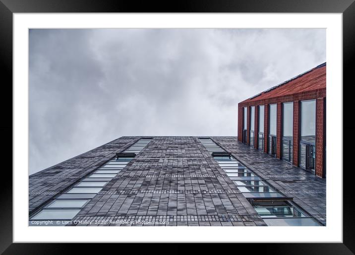 Looking Up The Cargo Building Framed Mounted Print by Liam Neon