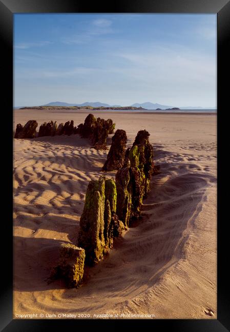 Newborough Beach Wreck Framed Print by Liam Neon