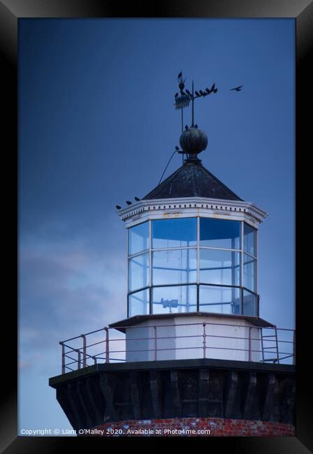 Perched on Hoylake Lighthouse Framed Print by Liam Neon