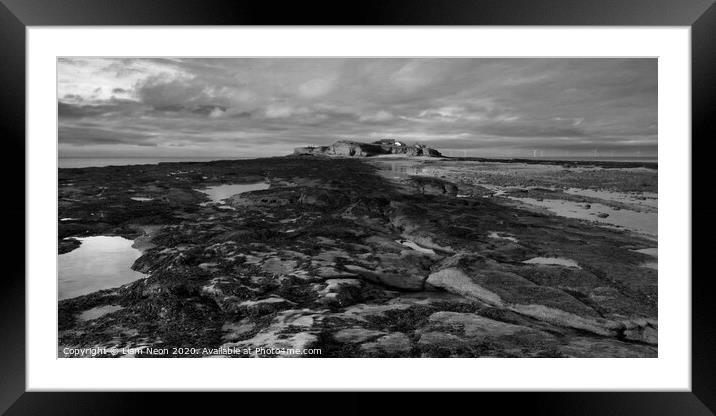 Hilbre on the Rocks Framed Mounted Print by Liam Neon