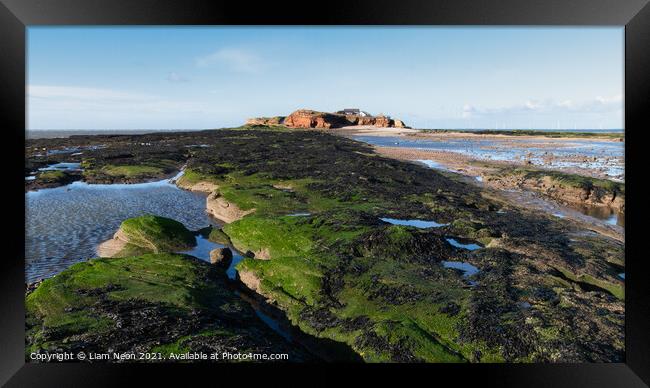 Hilbre Island Rockpools, Wirral Framed Print by Liam Neon