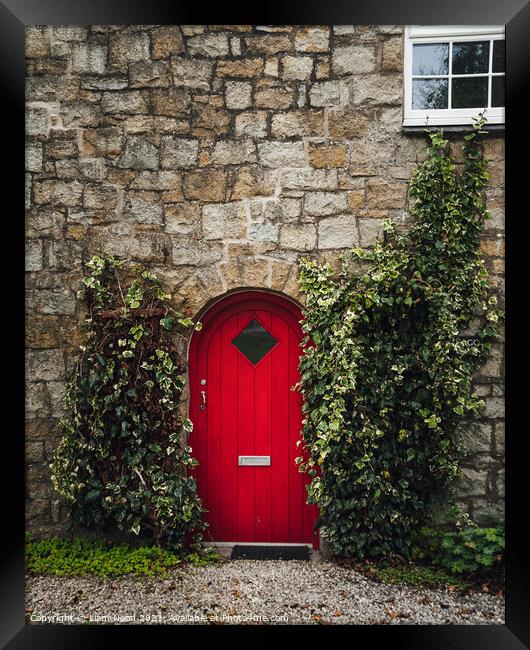 The Red Door Framed Print by Liam Neon