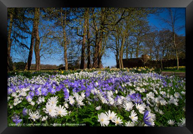 Thornton Manor Wild Flowers Fields Framed Print by Liam Neon