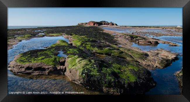 Hilbre Island Rock Pools Framed Print by Liam Neon