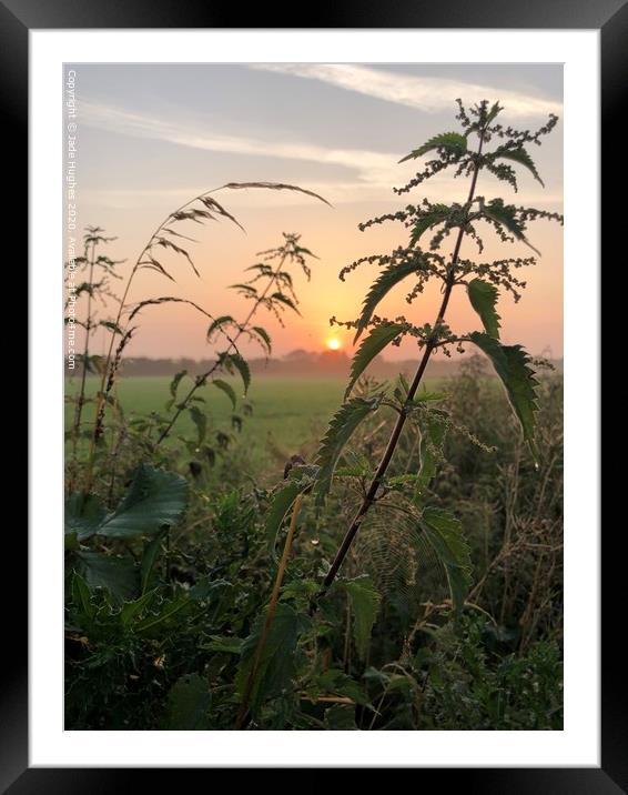 Frosty summers sunrise  Framed Mounted Print by Jade Hughes